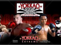 yokkao-boxing-fighter-banner.jpg